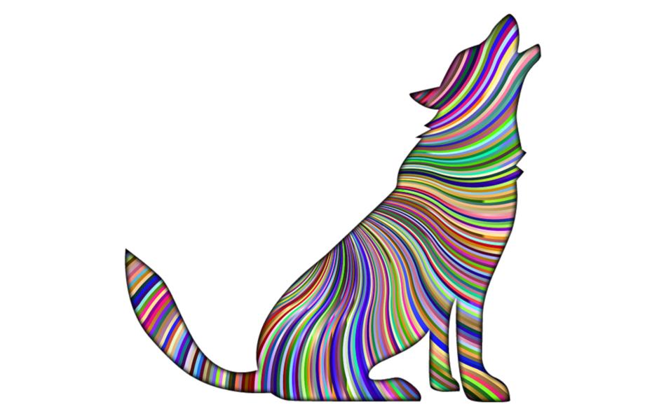 rainbow wolf on a white background