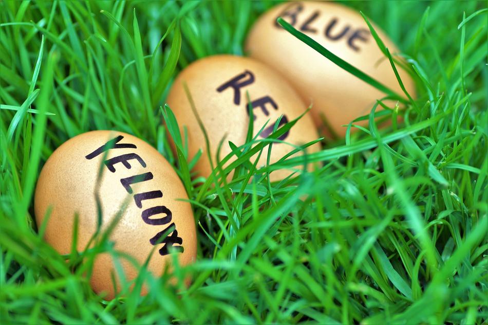 eggs with writing in the grass