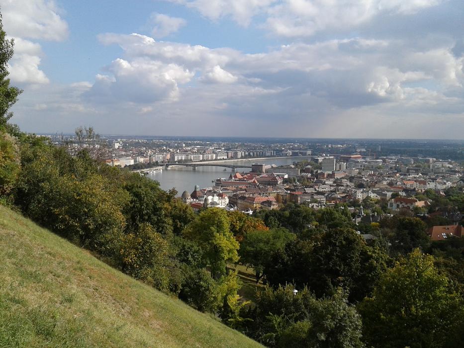a city far away in the trees