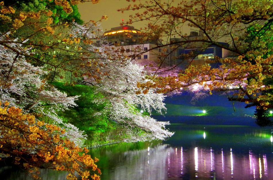 Lake colored spring