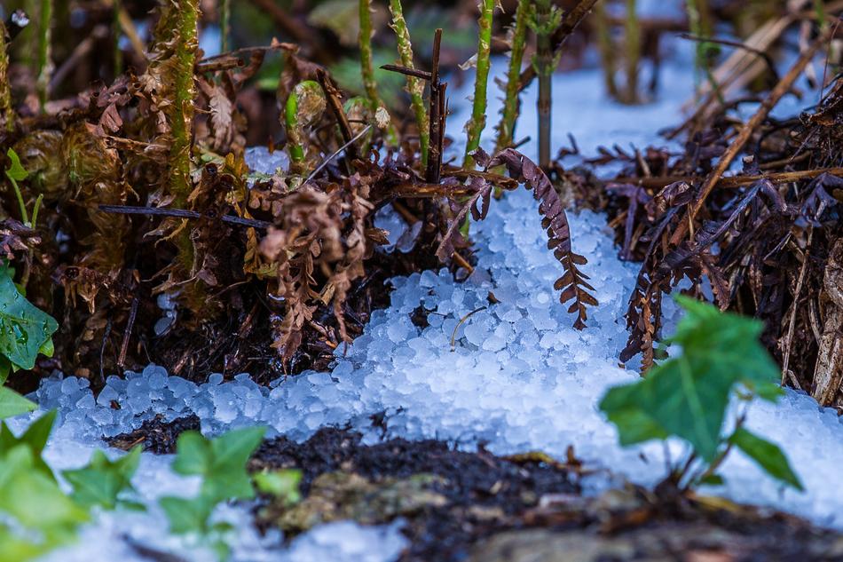 ice flowers balls
