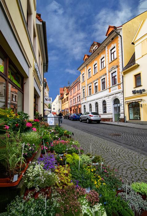 beautiful street with flowers