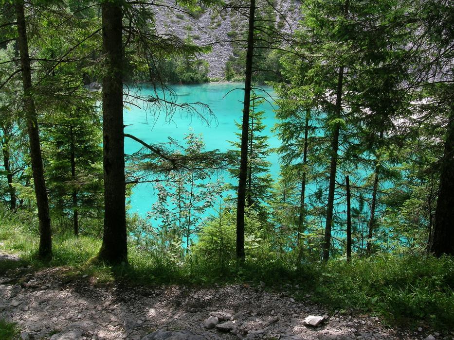 blue lake with forest