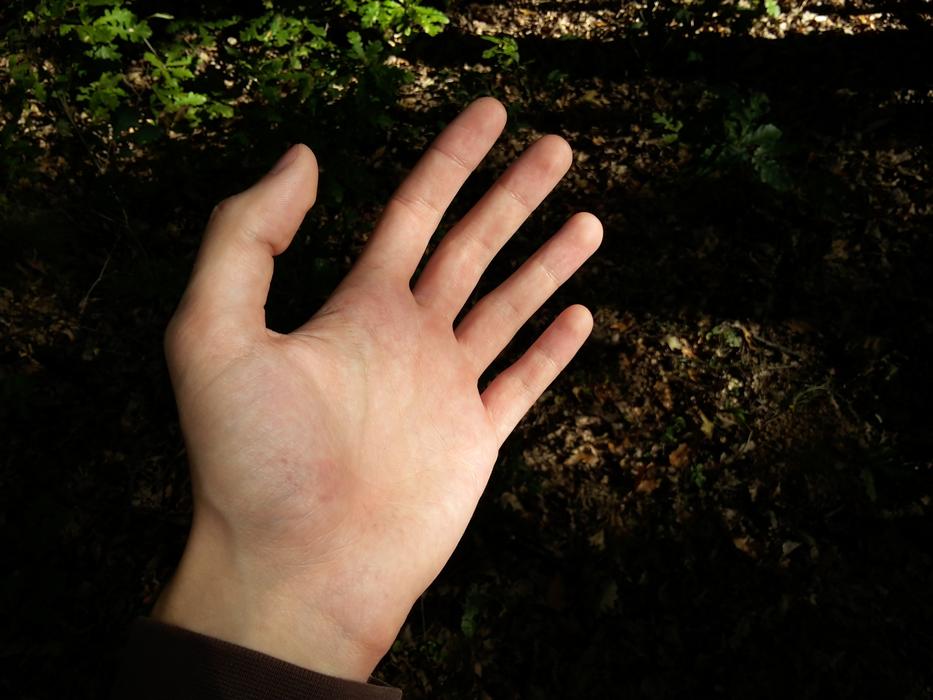 The hand of a man's man