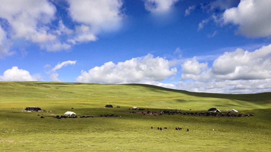 clouds with the sky in the field
