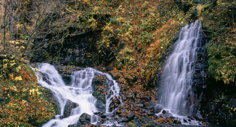 waterfalls on rocks with plants