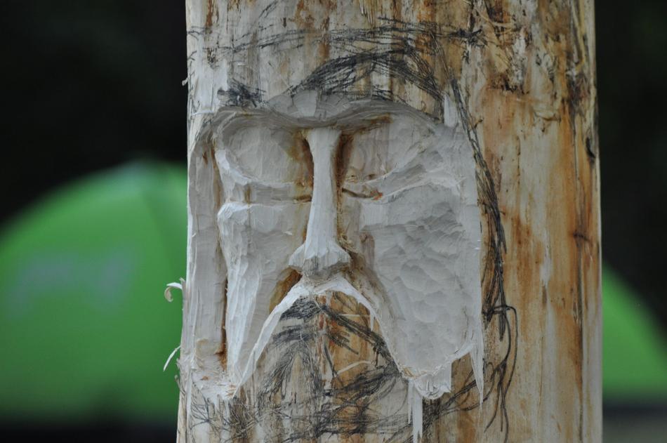 a face carved into a tree