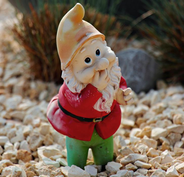 The shy dwarf