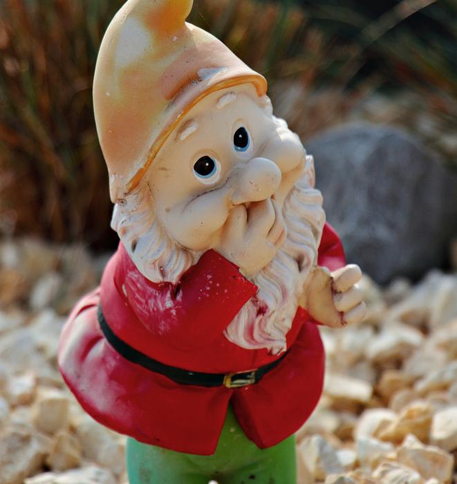 Funny dwarf Snow White
