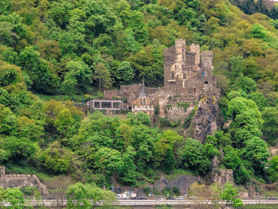 tree and herb castle