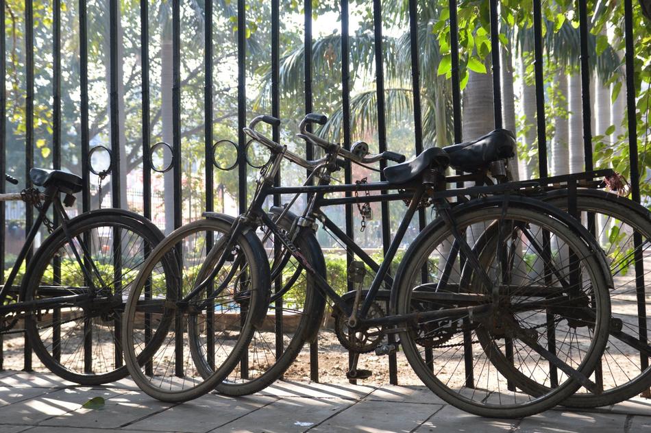 bicycle wheel fence