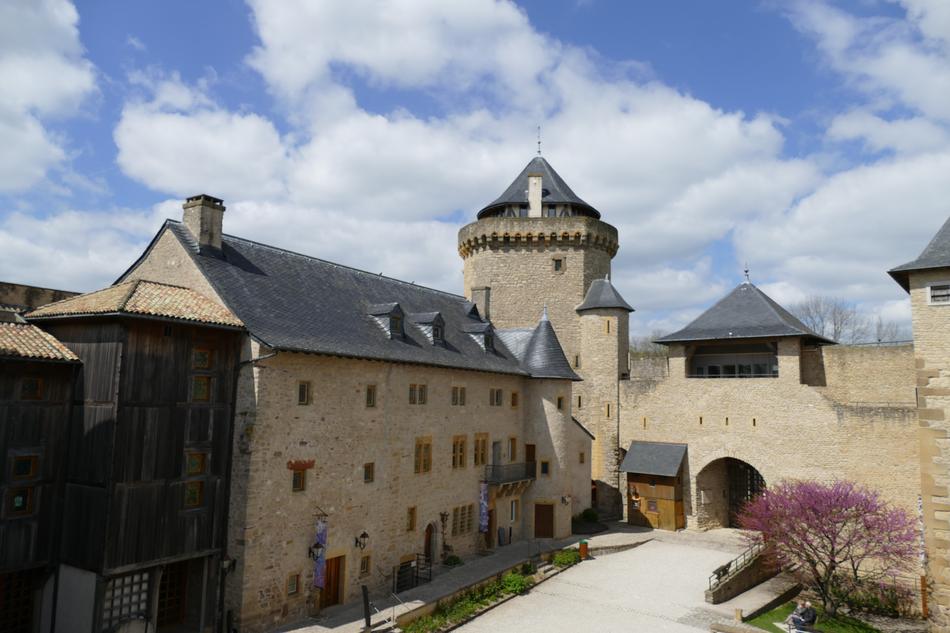 beautiful castle with trees