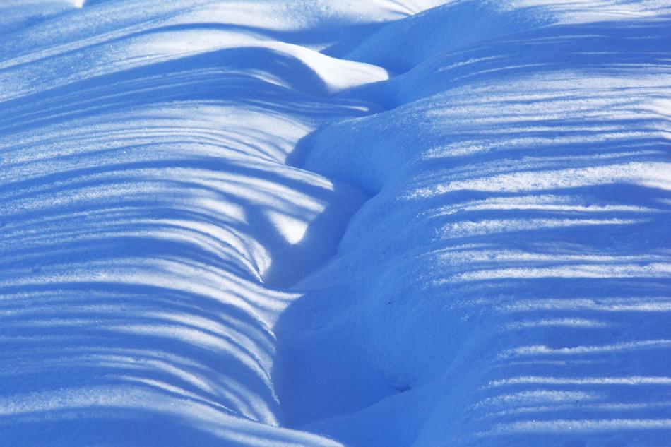 snowstorm with frost