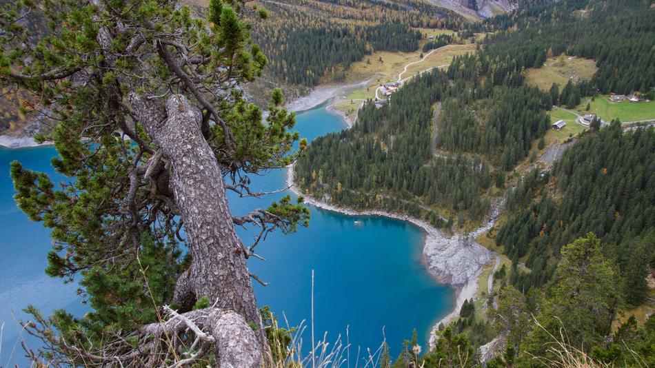landscape with lake and trees above