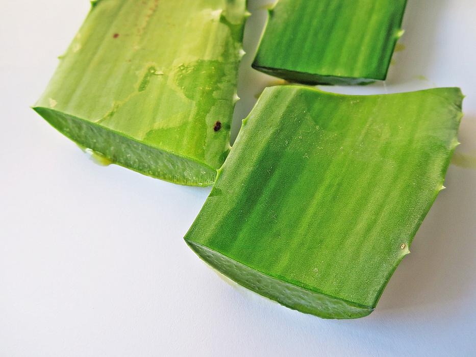sliced aloe on a white table