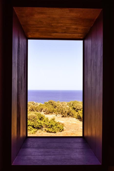 nature in the window of the Museum of the Environment in Cyprus