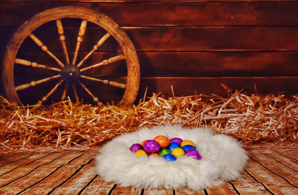 eggs in a white fluffy pillow.