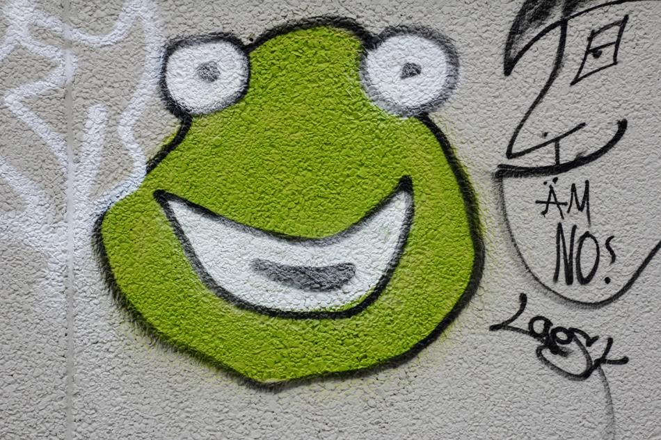 frog on the wall graffiti