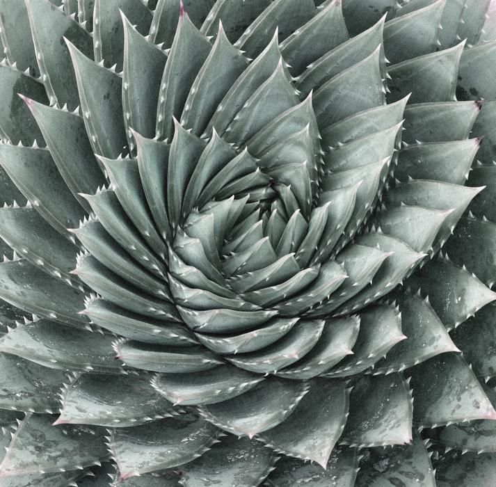 green triangles with white
