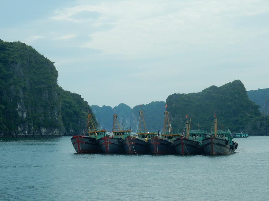 There are a lot of ships on the lake