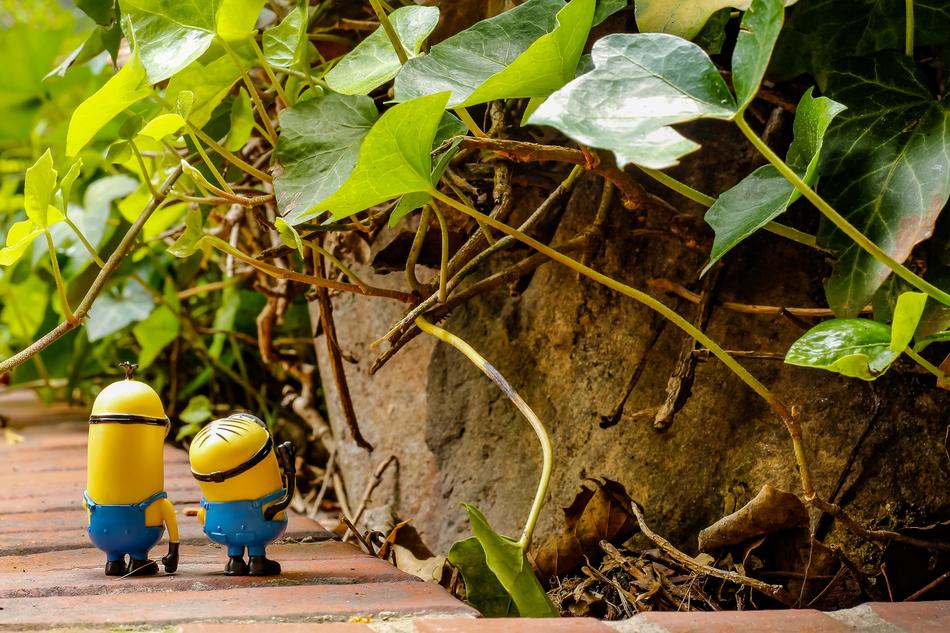 Toys green leaves yellow