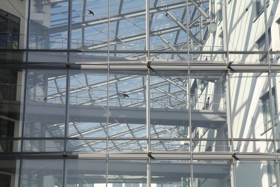white walls and glass landscape