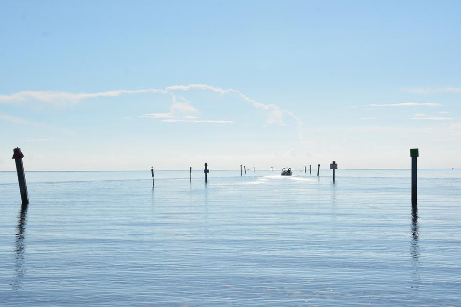 sea pillars wooden