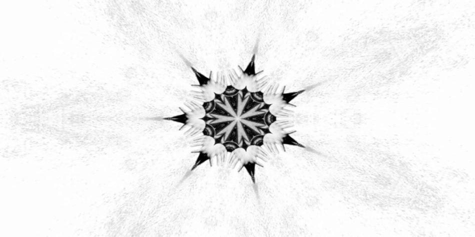 The white flower is beautiful