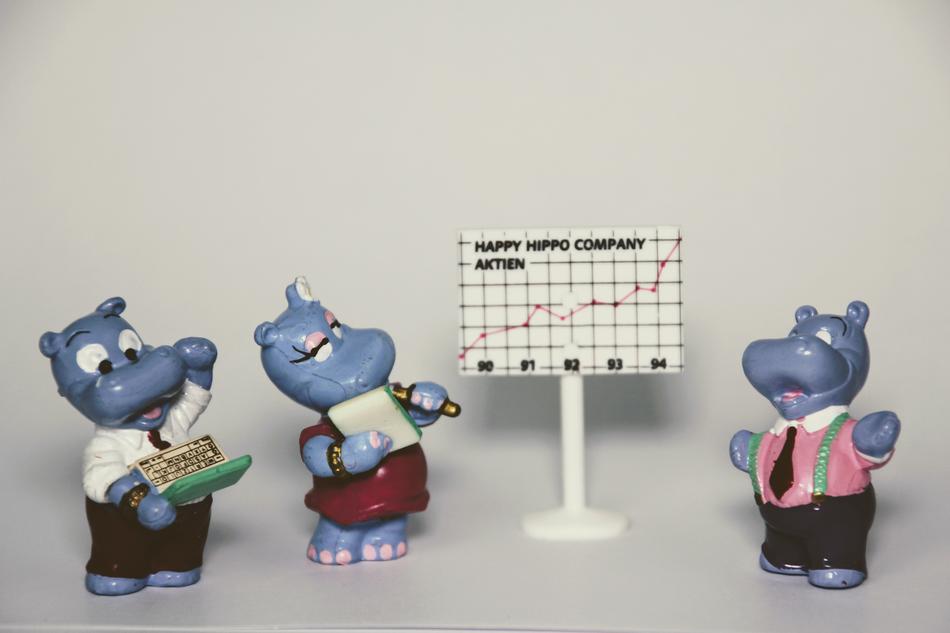 hippo toy