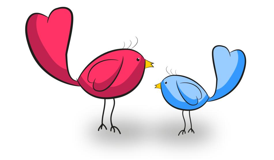 Beautiful and cute, red and blue birds with the yellow beaks, at white background, clipart