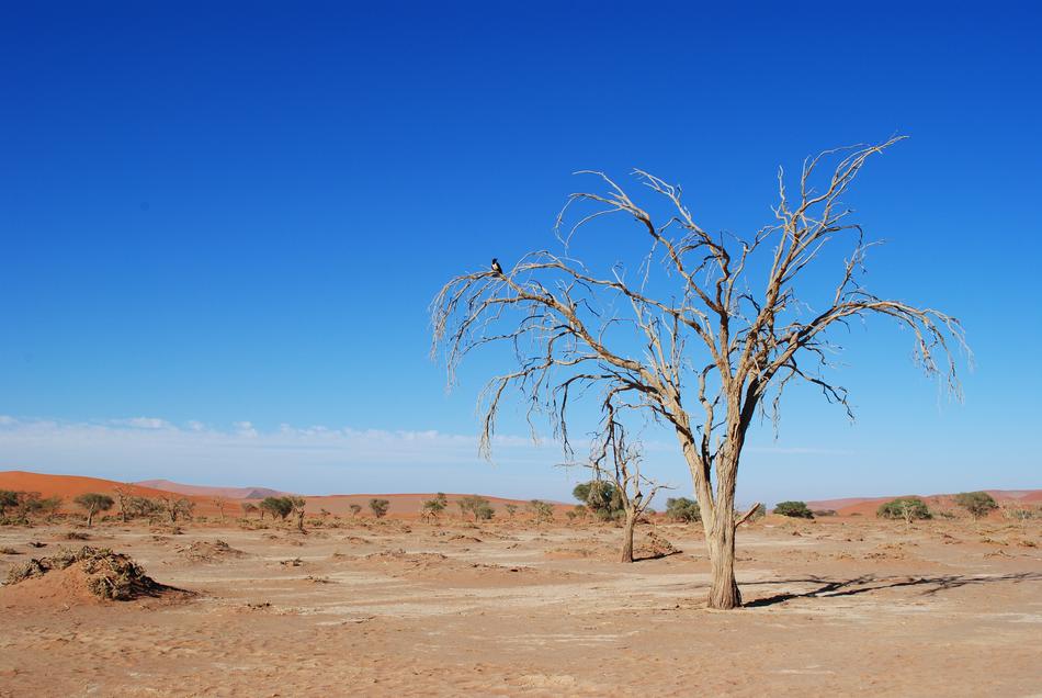 desert old water blue