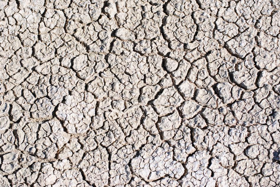 white sand in the lines