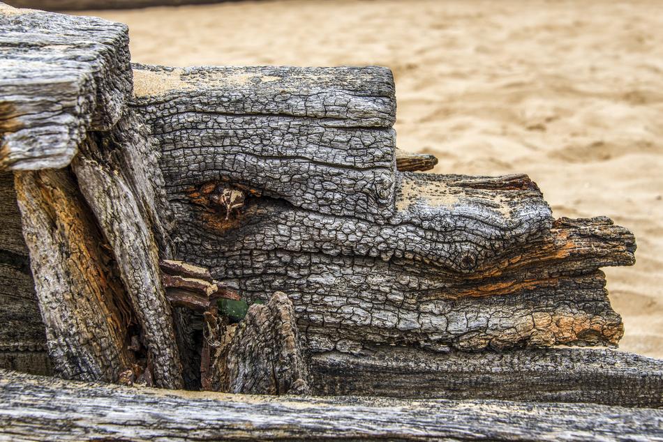 texture of old wood on blurred background