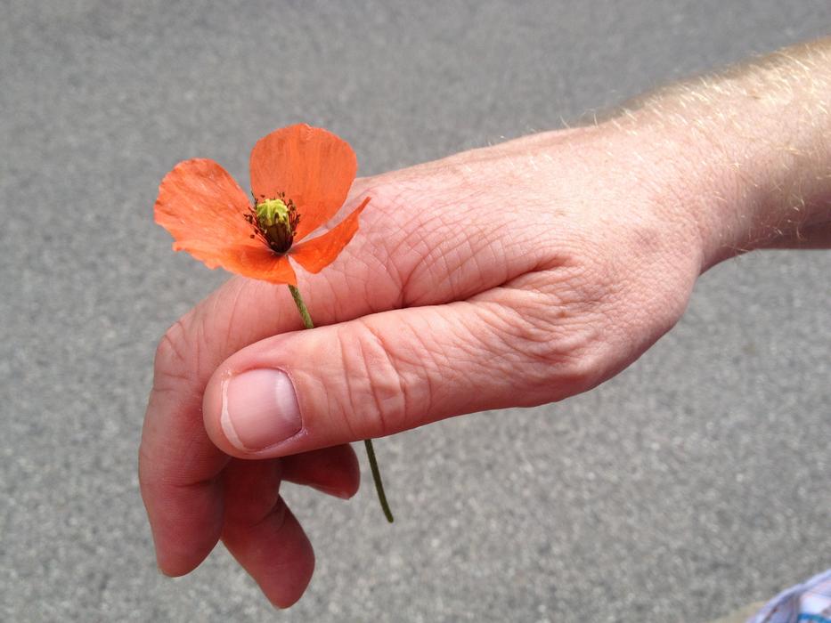 a small flower in the hand of a man