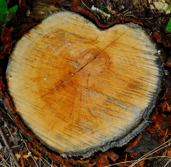 decorative wooden board