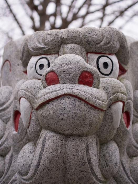 Dragon Japan nostrils