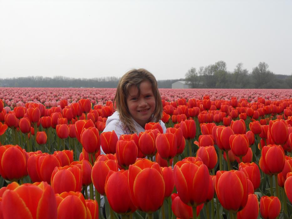 Girl in poppy flowers view