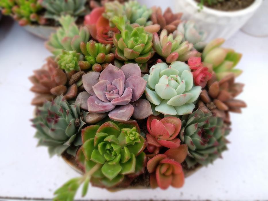 homemade flowers in a pot