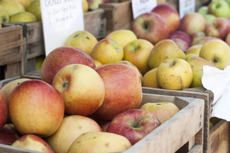 Apples are delicious harvest