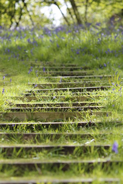 grass rocks stairs landscape park