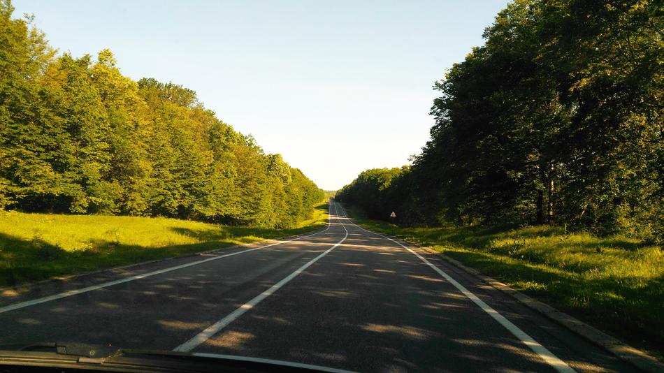 Road Forest Blue Sky
