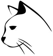 Animal Cat face drawing