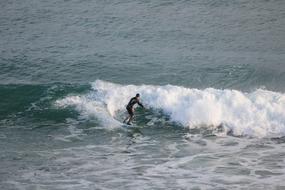 Surfer on Sea Wave