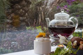 hot herbal tea