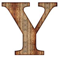 Colorful "Y" letter with the wooden texture, at white background, clipart