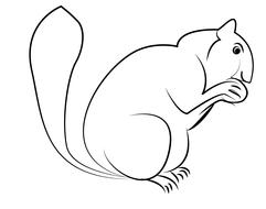 squirrel, sketch, outline