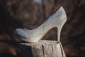 Princess Glitter shoe