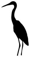 black silhouette of a heron on a white background