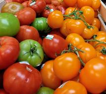 crop of colored tomatoes