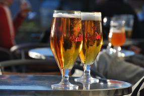 beer glass tray